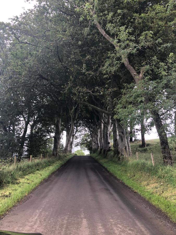 Апартаменти Den @ The Dark Hedges Stranocum Екстер'єр фото
